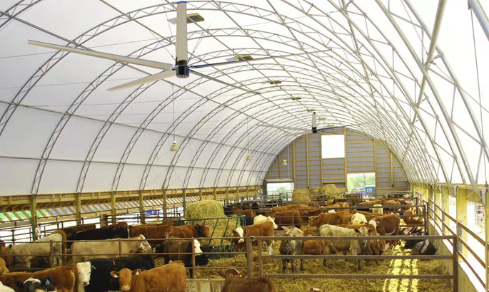 大型工業(yè)風(fēng)扇如何解決通風(fēng)降溫難題