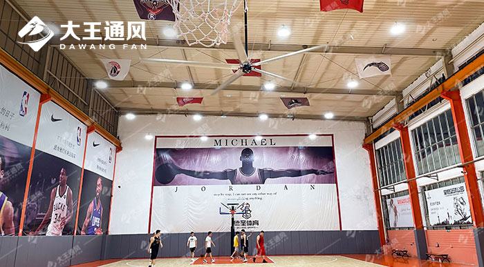 超大風(fēng)扇下打球更爽-德圣體育