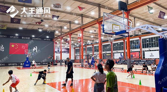 超大風(fēng)扇下打球更爽-德圣體育