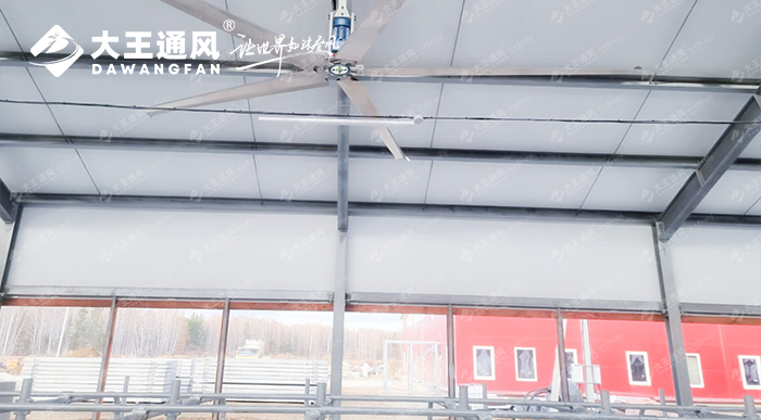 大王通風助力俄羅斯牛場畜牧養(yǎng)殖