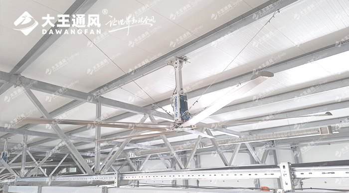 大王通風助力俄羅斯牛場畜牧養(yǎng)殖