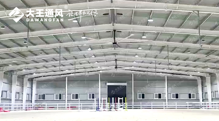 大王通風(fēng)&北極星馬術(shù)學(xué)院聯(lián)手打造舒適運(yùn)動(dòng)空間