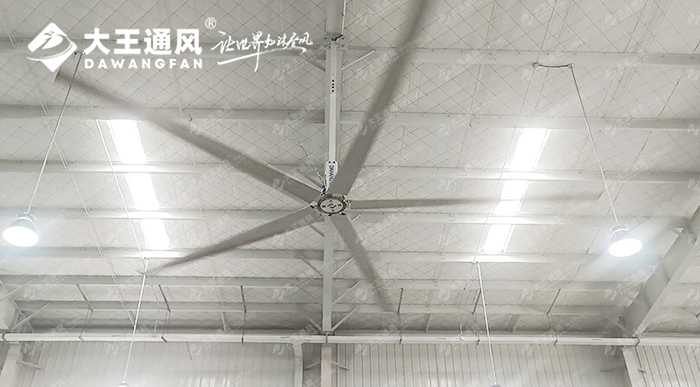 大王通風(fēng)攜手維通利電氣：告別炎熱困擾，釋放清涼一夏！