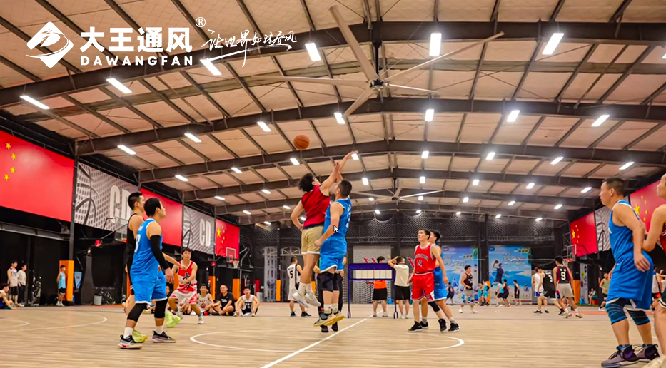 要運動也要舒適！CD球館新風尚！大王通風超大覆蓋，清涼無限！