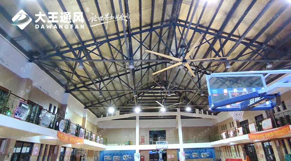 大王風(fēng)扇亮相錦天體育，打造舒適運(yùn)動(dòng)環(huán)境，運(yùn)動(dòng)達(dá)人熱薦?。?！