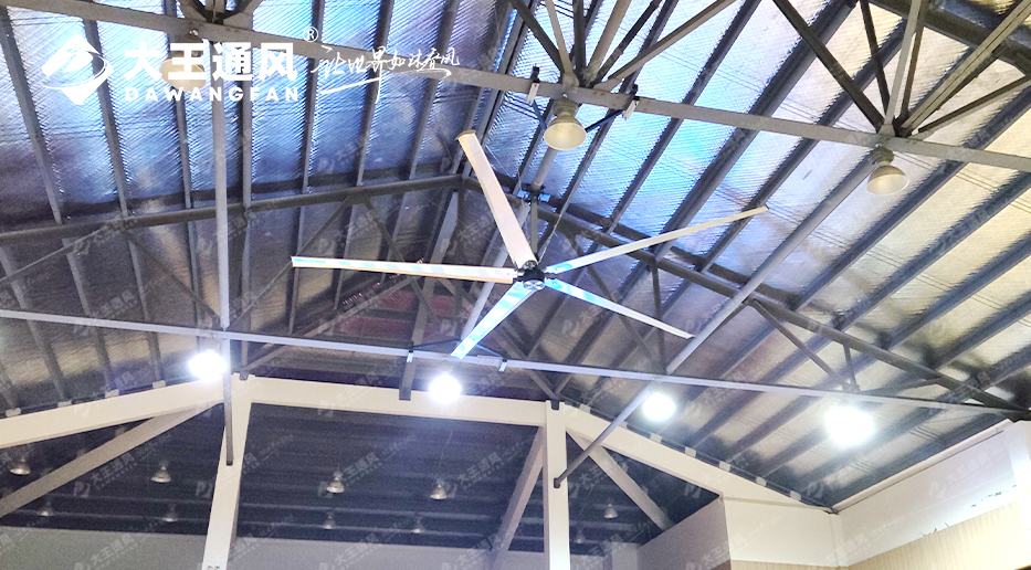 大王風扇亮相錦天體育，打造舒適運動環(huán)境，運動達人熱薦?。?！