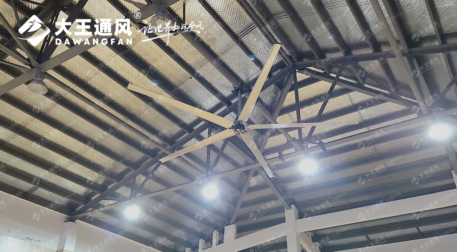 大王風扇亮相錦天體育，打造舒適運動環(huán)境，運動達人熱薦?。?！