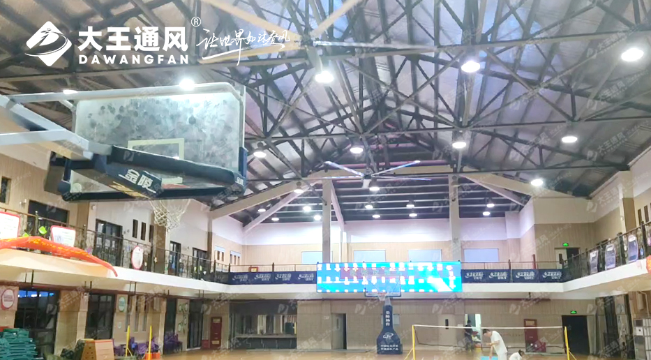 大王風扇亮相錦天體育，打造舒適運動環(huán)境，運動達人熱薦！??！