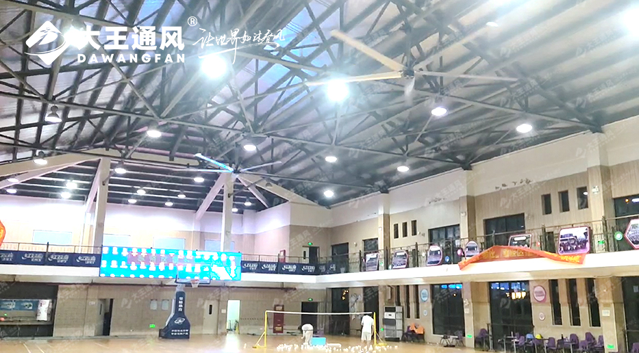 大王風扇亮相錦天體育，打造舒適運動環(huán)境，運動達人熱薦?。?！