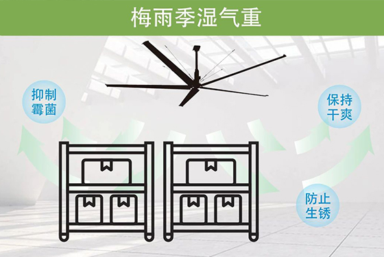 梅雨季防潮 | 大王通風(fēng)HVLS解決方案